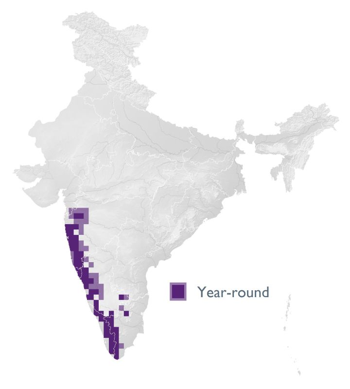 Distribution map (SoIB 2020)