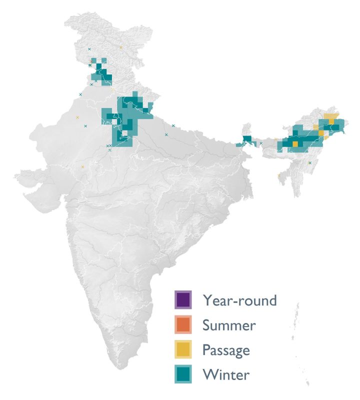 Distribution map (SoIB 2020)