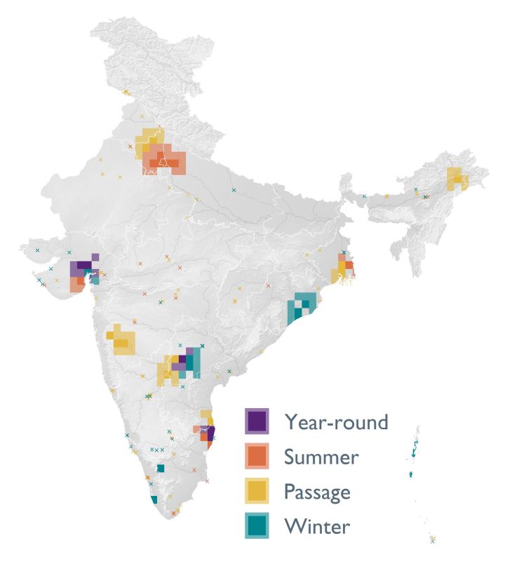 Distribution map (SoIB 2020)