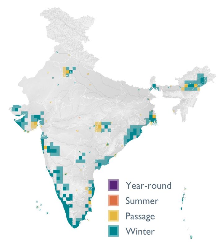 Distribution map (SoIB 2020)