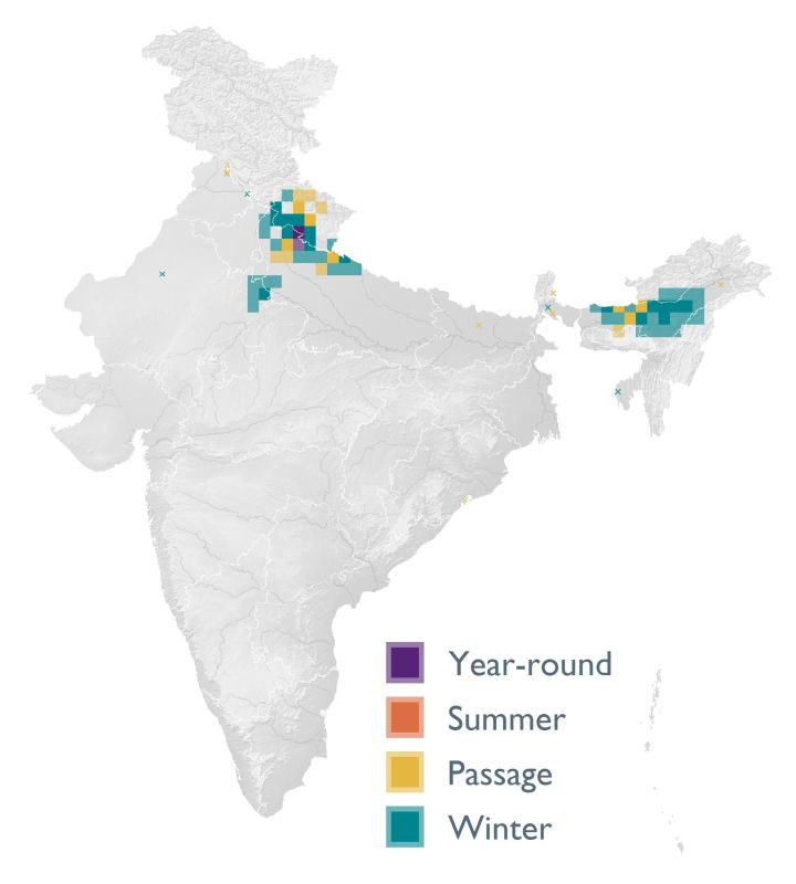 Distribution map (SoIB 2020)