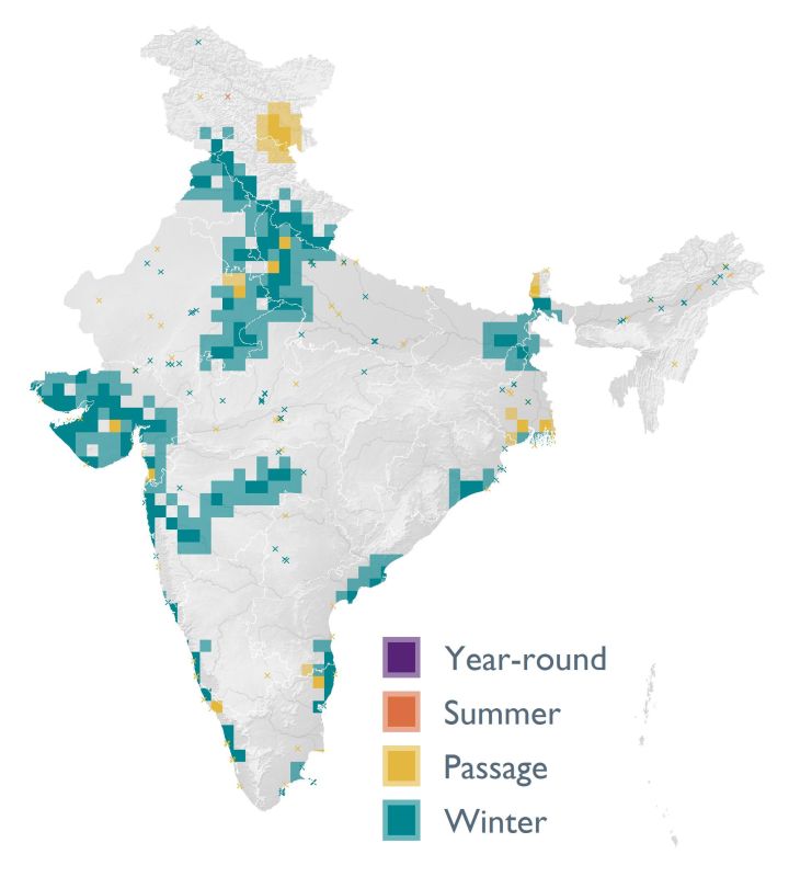 Distribution map (SoIB 2020)