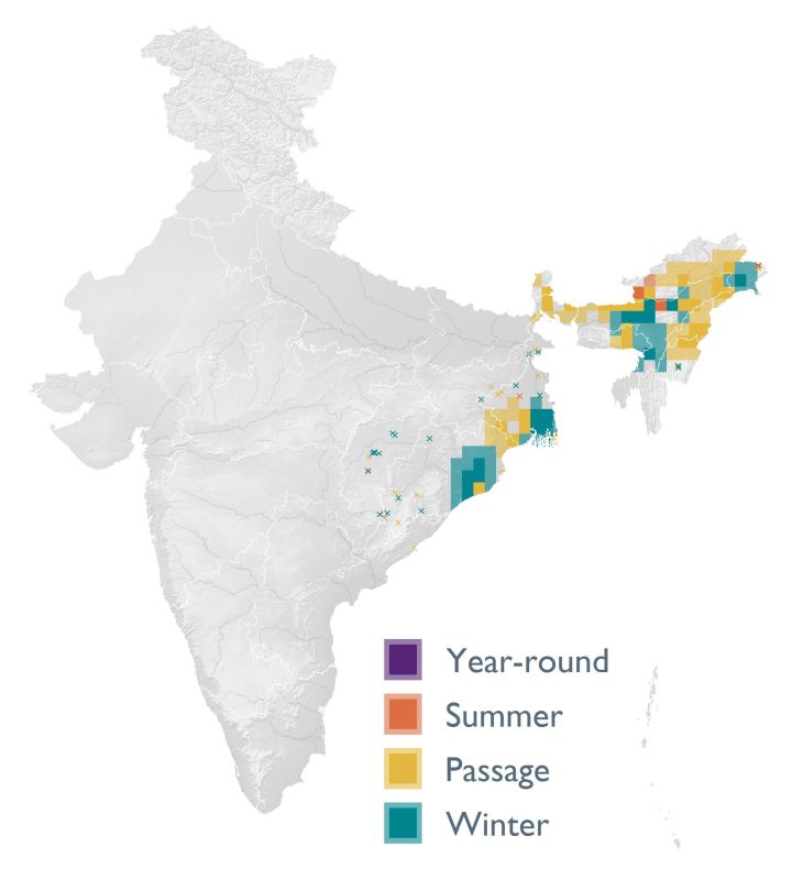 Distribution map (SoIB 2020)