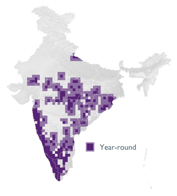 Distribution map (SoIB 2020)