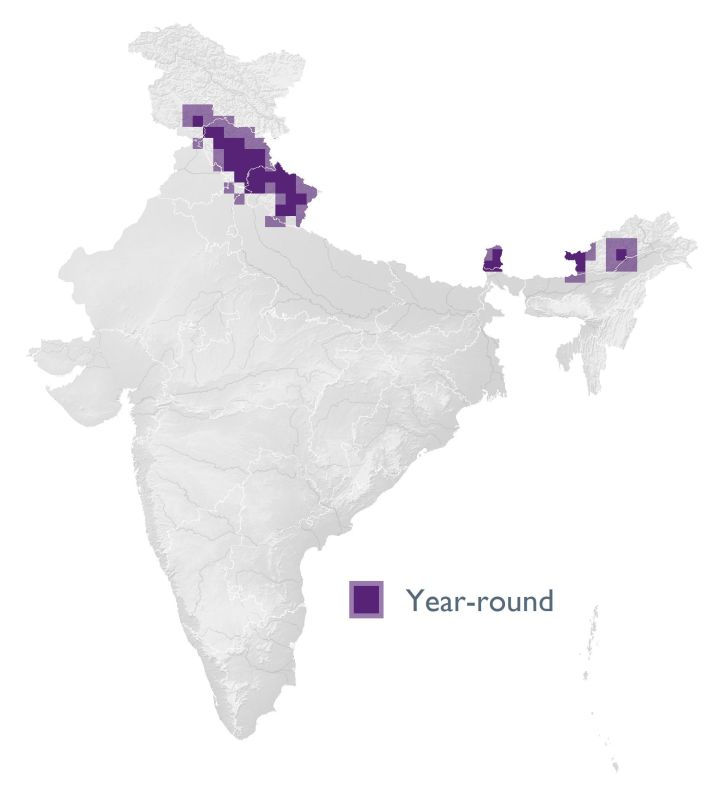 Distribution map (SoIB 2020)