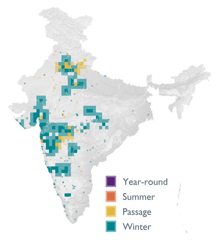 Distribution map (SoIB 2020)