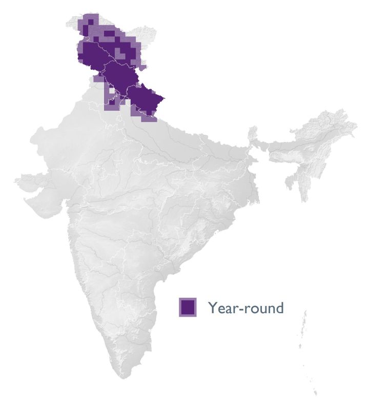 Distribution map (SoIB 2020)