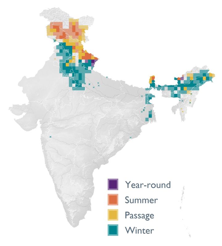 Distribution map (SoIB 2020)