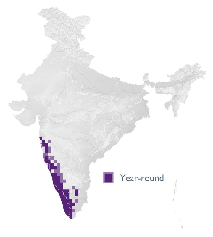 Distribution map (SoIB 2020)