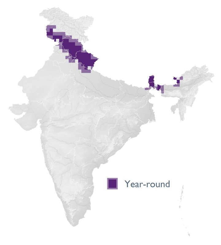 Distribution map (SoIB 2020)