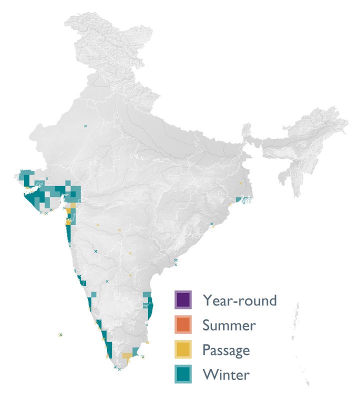 Distribution map (SoIB 2020)