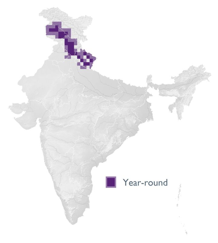 Distribution map (SoIB 2020)