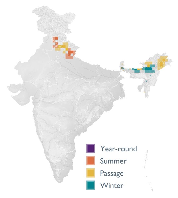 Distribution map (SoIB 2020)