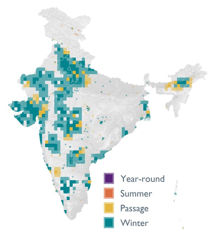 Distribution map (SoIB 2020)