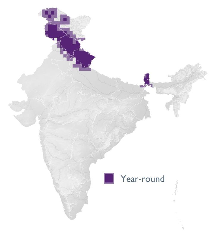 Distribution map (SoIB 2020)