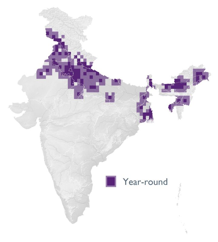 Distribution map (SoIB 2020)