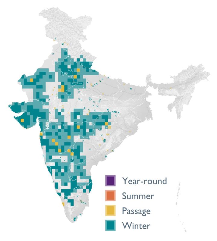 Distribution map (SoIB 2020)