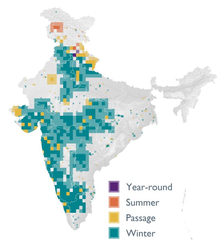 Distribution map (SoIB 2020)