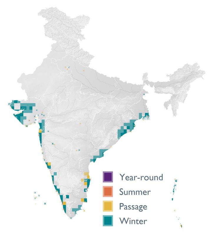 Distribution map (SoIB 2020)