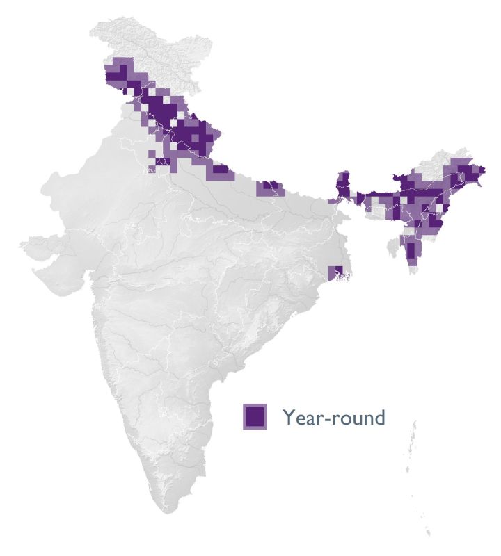 Distribution map (SoIB 2020)