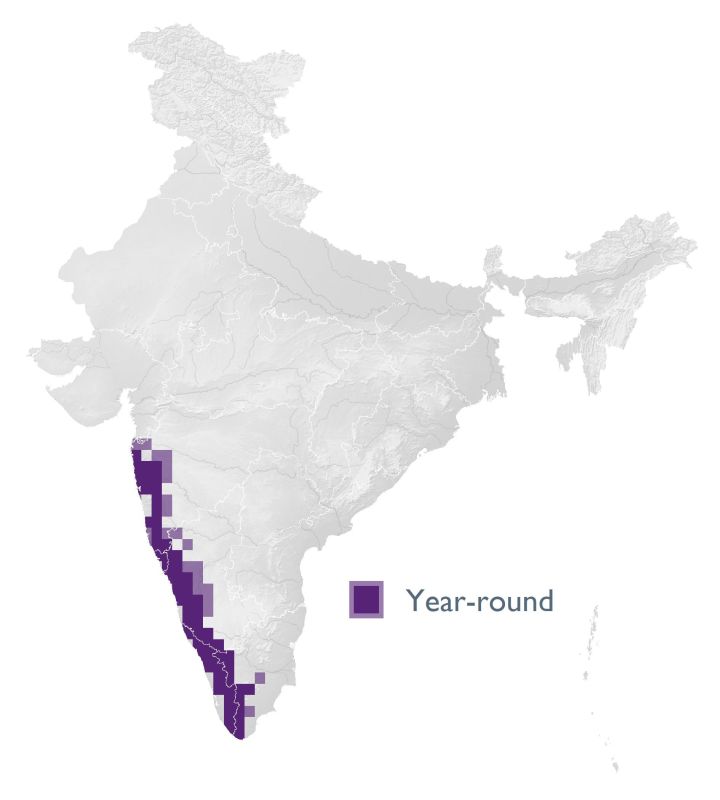 Distribution map (SoIB 2020)