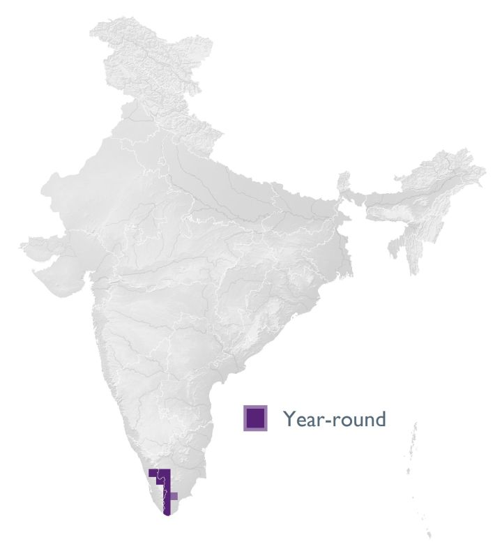 Distribution map (SoIB 2020)