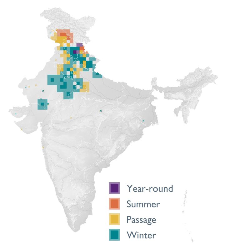 Distribution map (SoIB 2020)