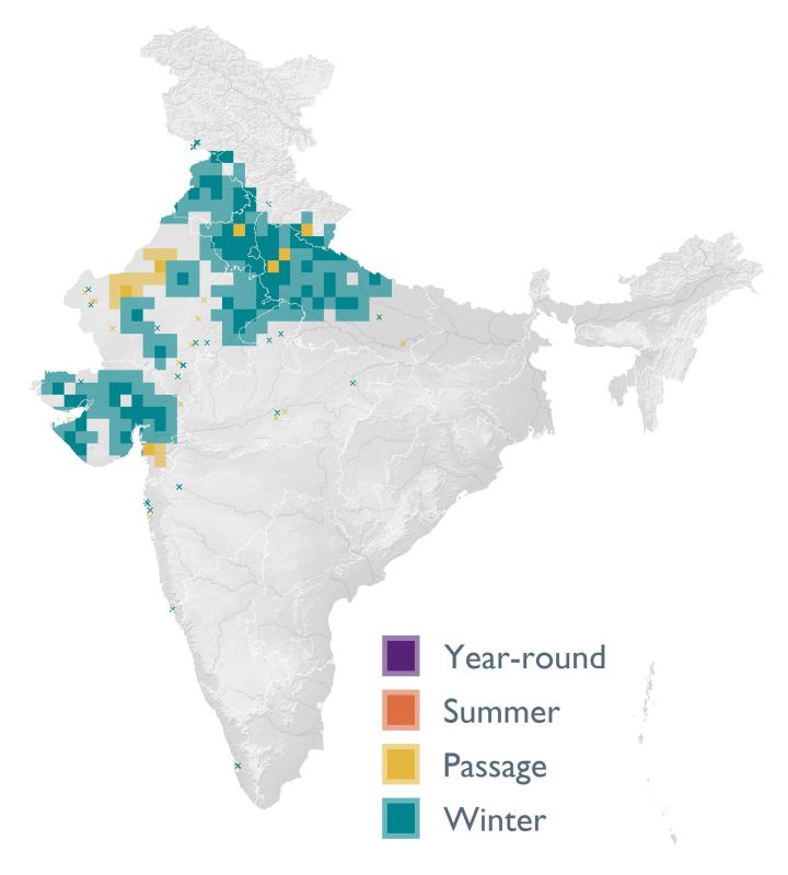 Distribution map (SoIB 2020)