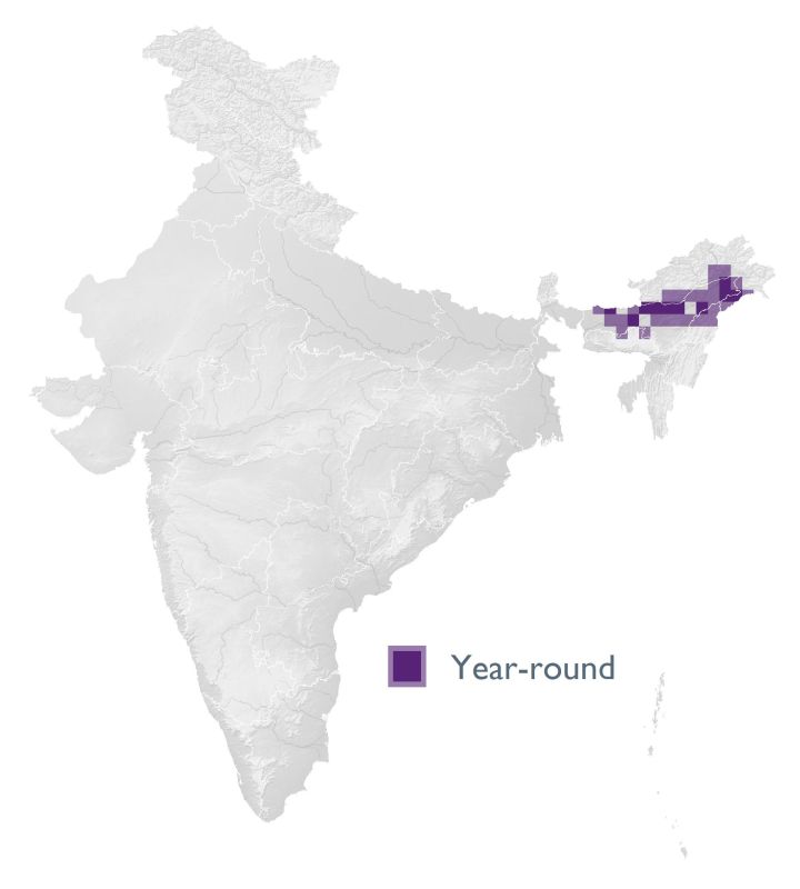 Distribution map (SoIB 2020)