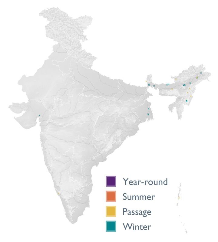 Distribution map (SoIB 2020)