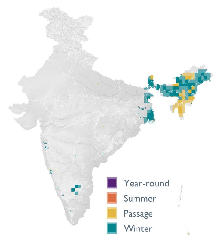 Distribution map (SoIB 2020)