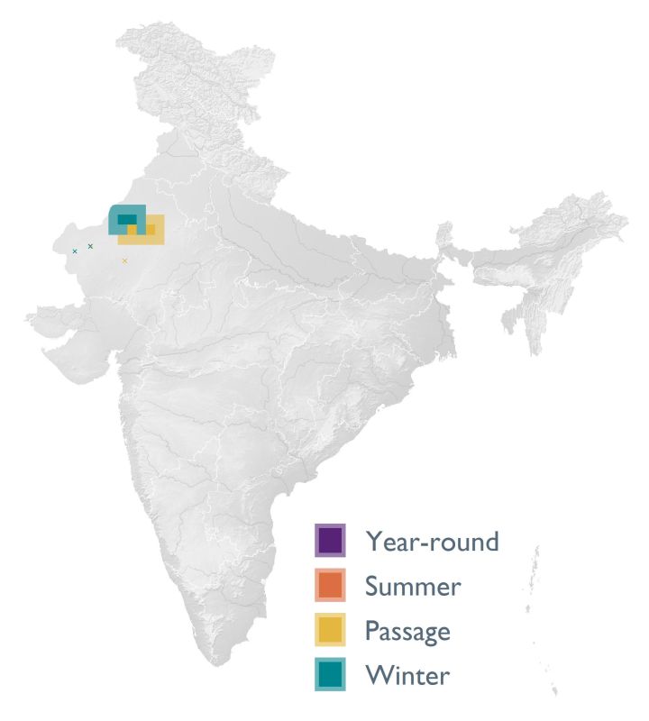 Distribution map (SoIB 2020)