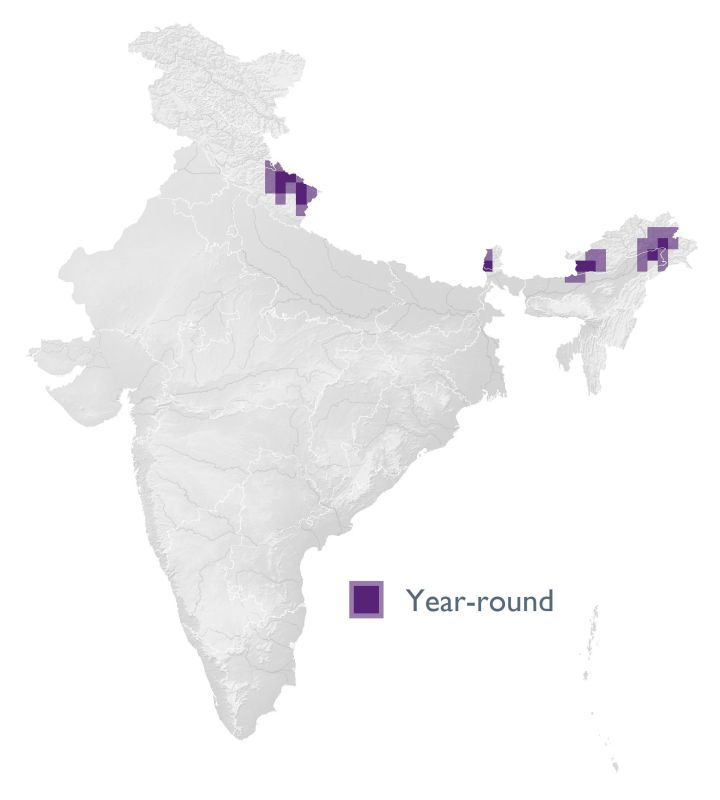 Distribution map (SoIB 2020)