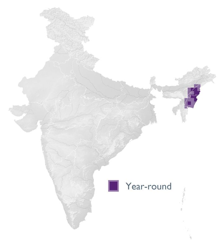 Distribution map (SoIB 2020)